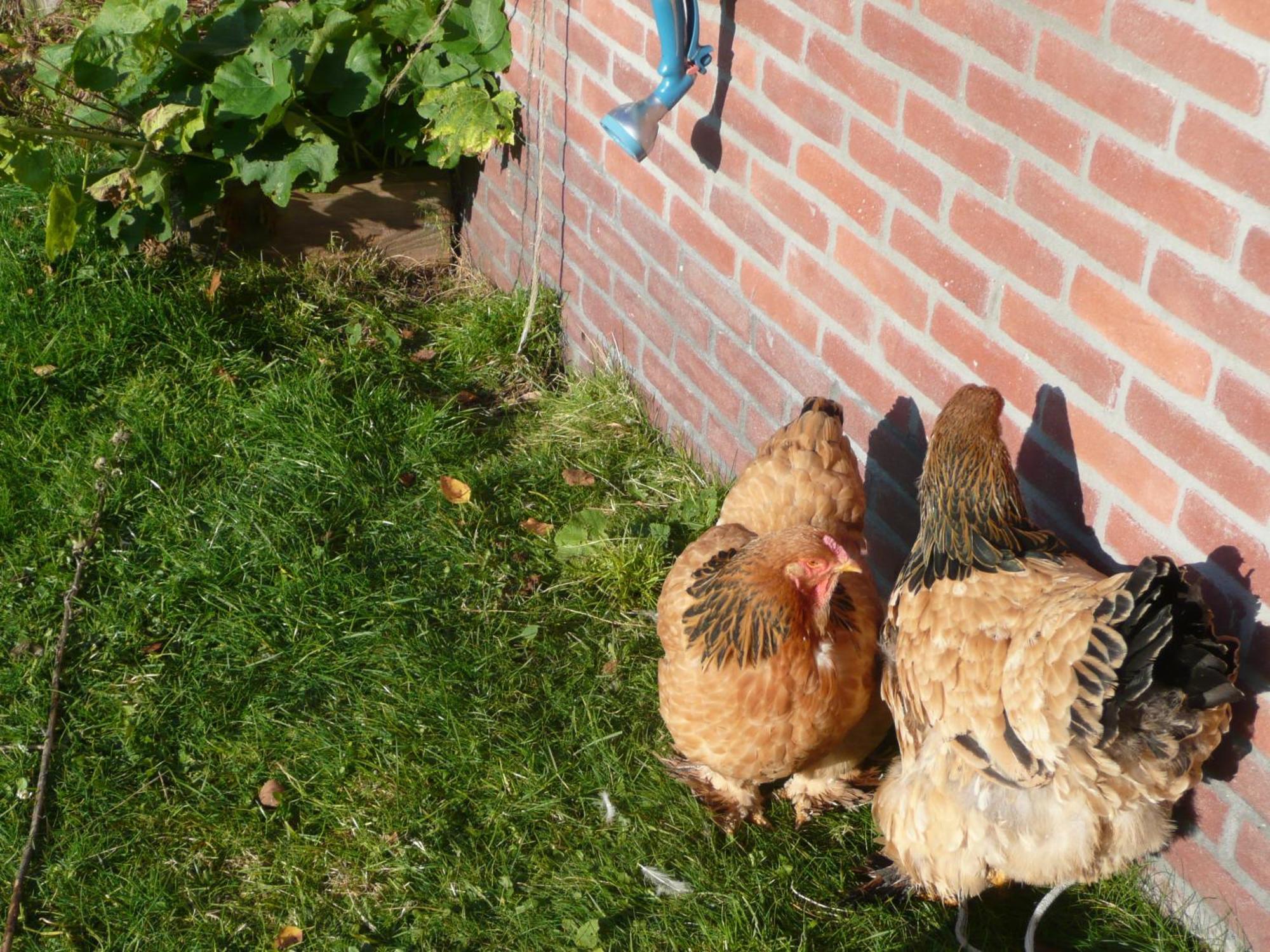 Slaopen En Stoet Bed & Breakfast Anderen Exterior foto