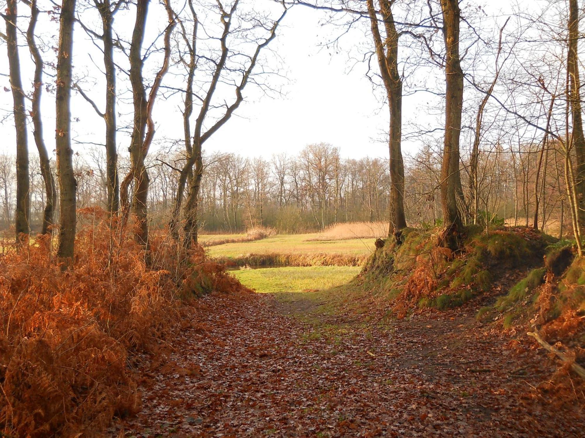 Slaopen En Stoet Bed & Breakfast Anderen Exterior foto
